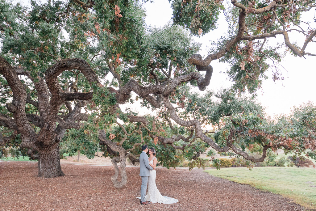 Ruby Hill Golf Club wedding portrait by the big oak tree