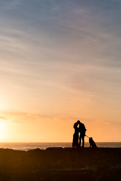 San Francisco engagement photos with a cute puppy