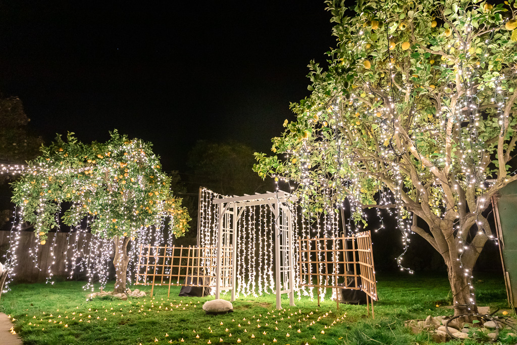 twinkle string lights setup for a romantic San Francisco night proposal