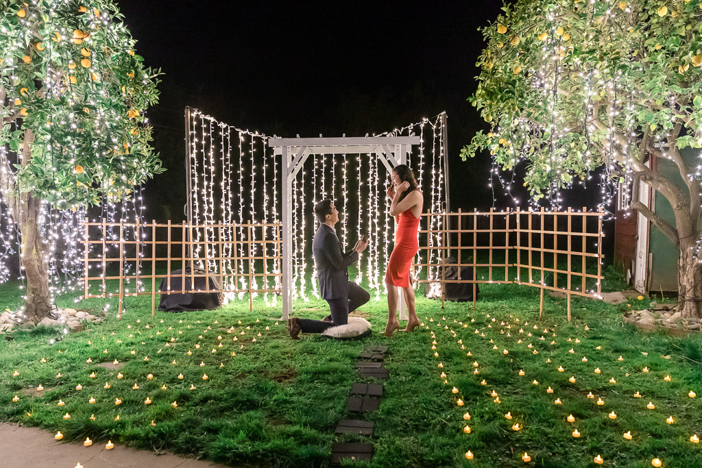 whimsical San Francisco surprise proposal at night with twinkle lights all around the garden