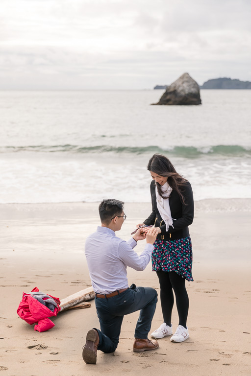 happy surprise engagement proposal on San Francisco beach