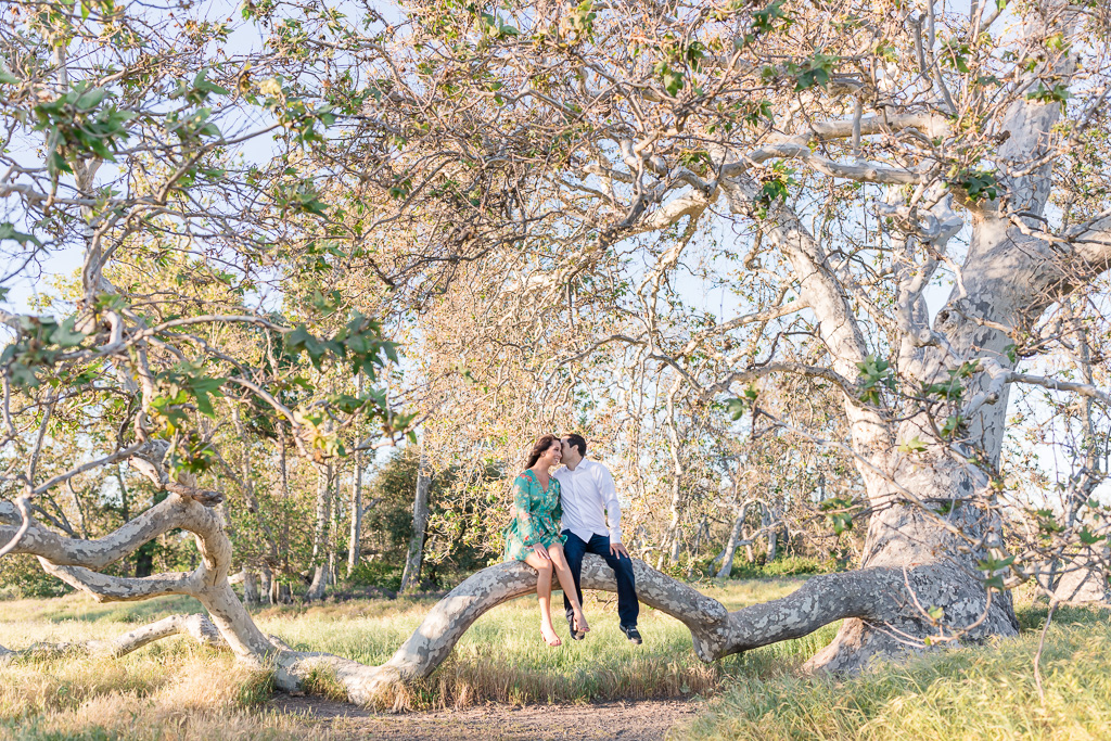 Sycamore Grove Park engagement picture with the magical fallen tree