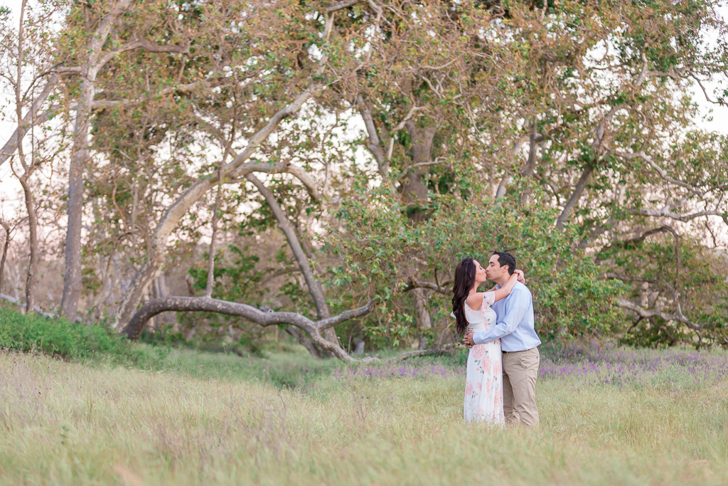 romantic bay area engagement photo came out of a fairy tale