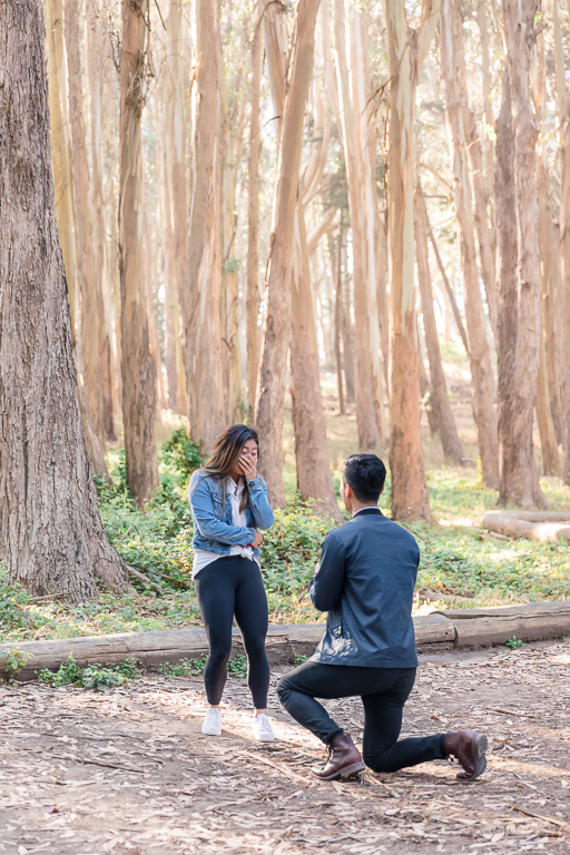 San Francisco Presidio woodline surprise marriage proposal