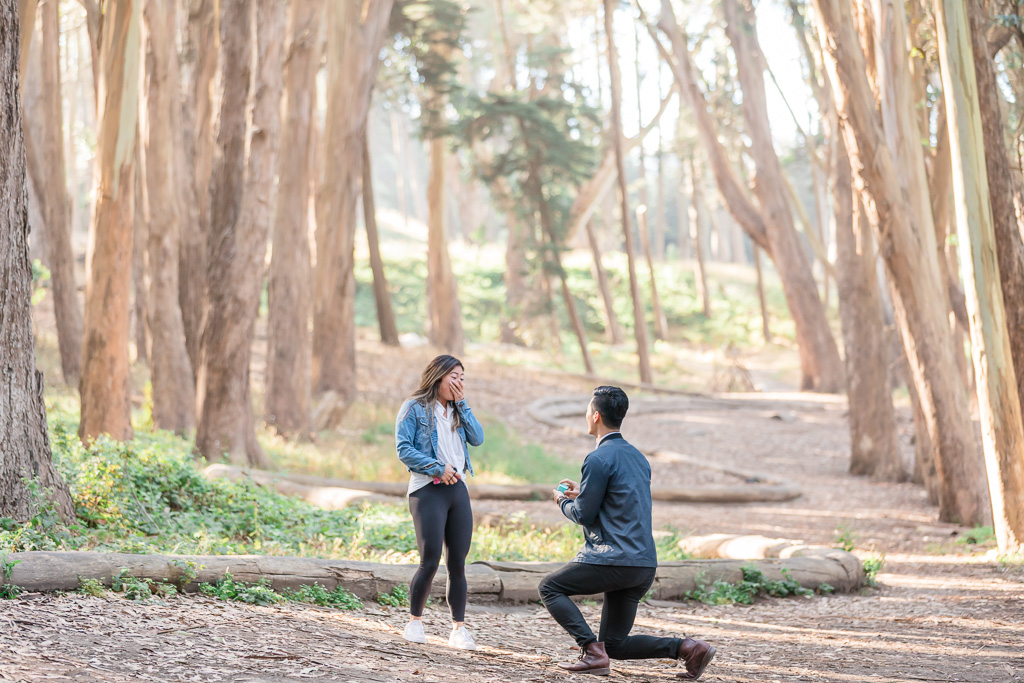 San Francisco Lovers' Lane woodline surprise engagement proposal