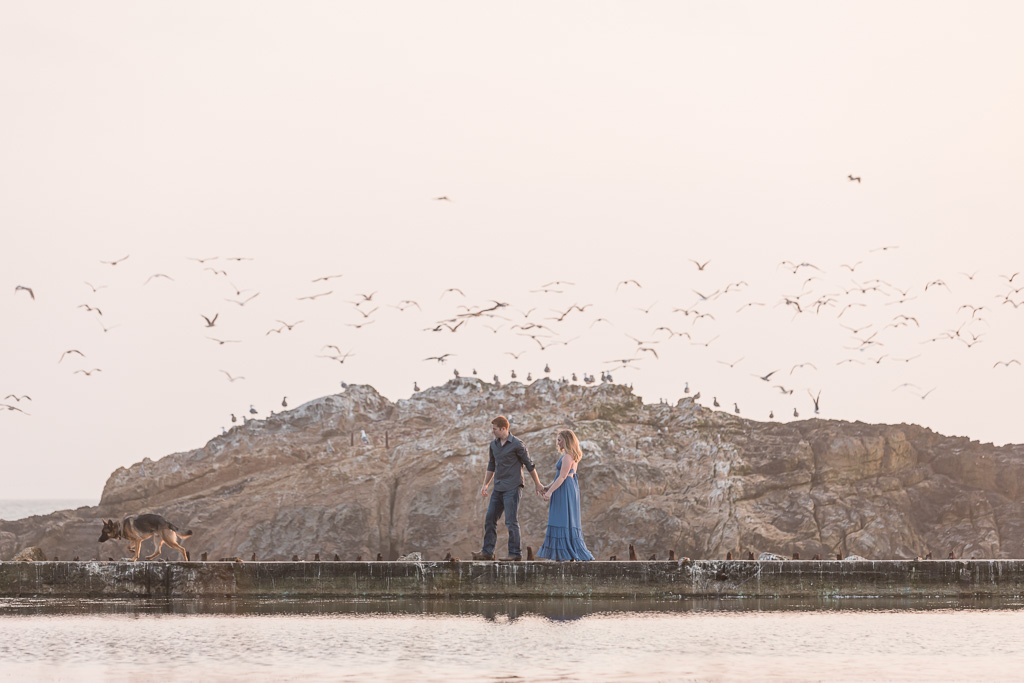 engagement photos with hundreds of seagulls