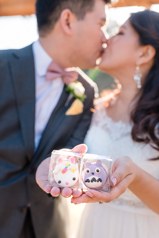 wedding favors Totoro macaron