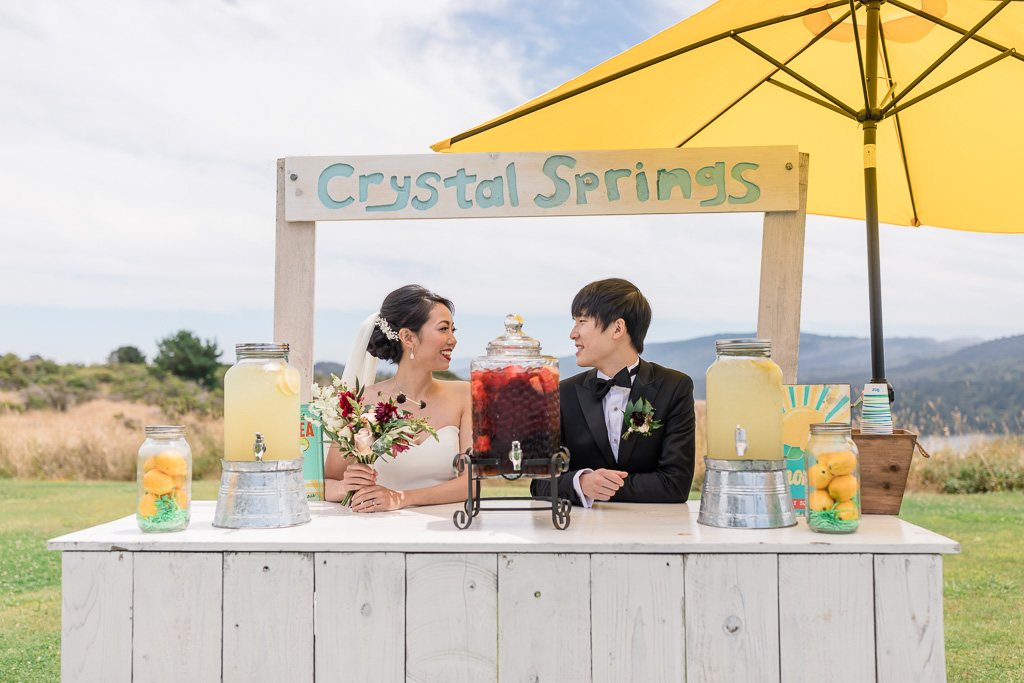 Fairview Crystal Springs colorful wedding portrait