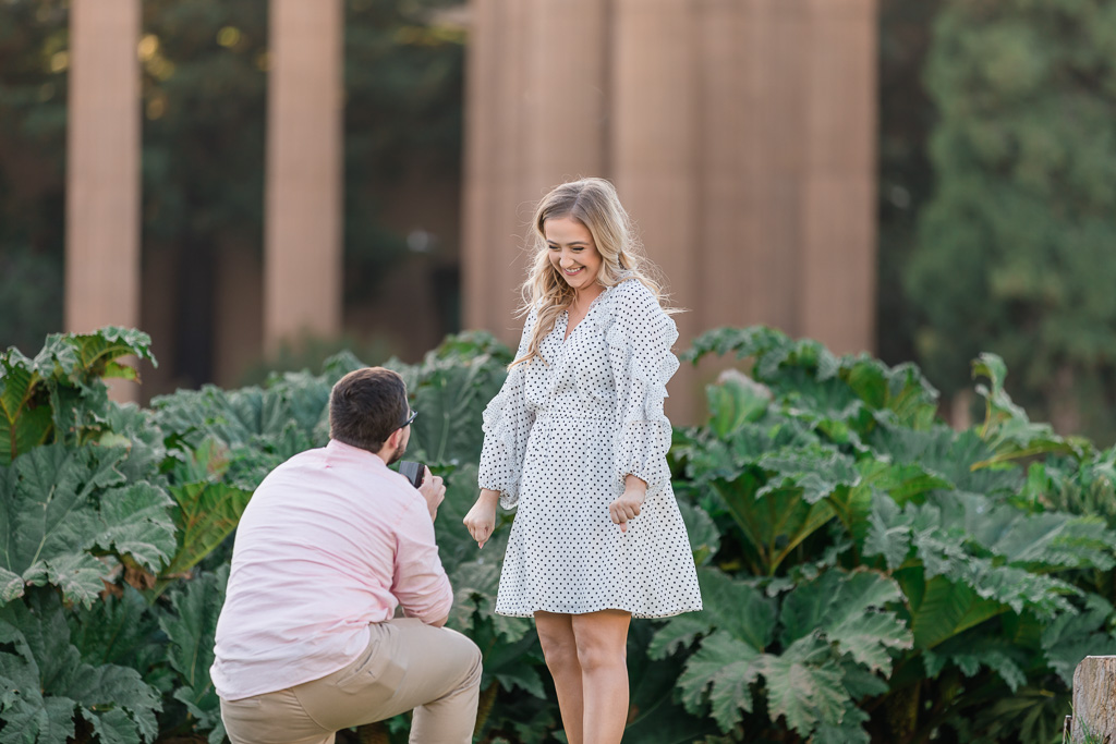 super cute surprise proposal at the Palace of Fine Arts