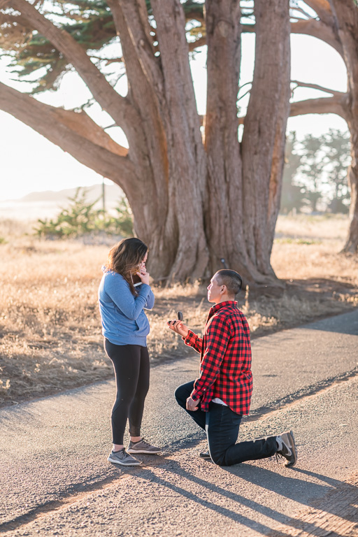 point reyes surprise proposal after a hike