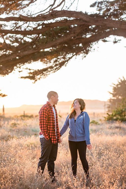 Point Reyes Cypress Tree Tunnel engagement photo at sunset