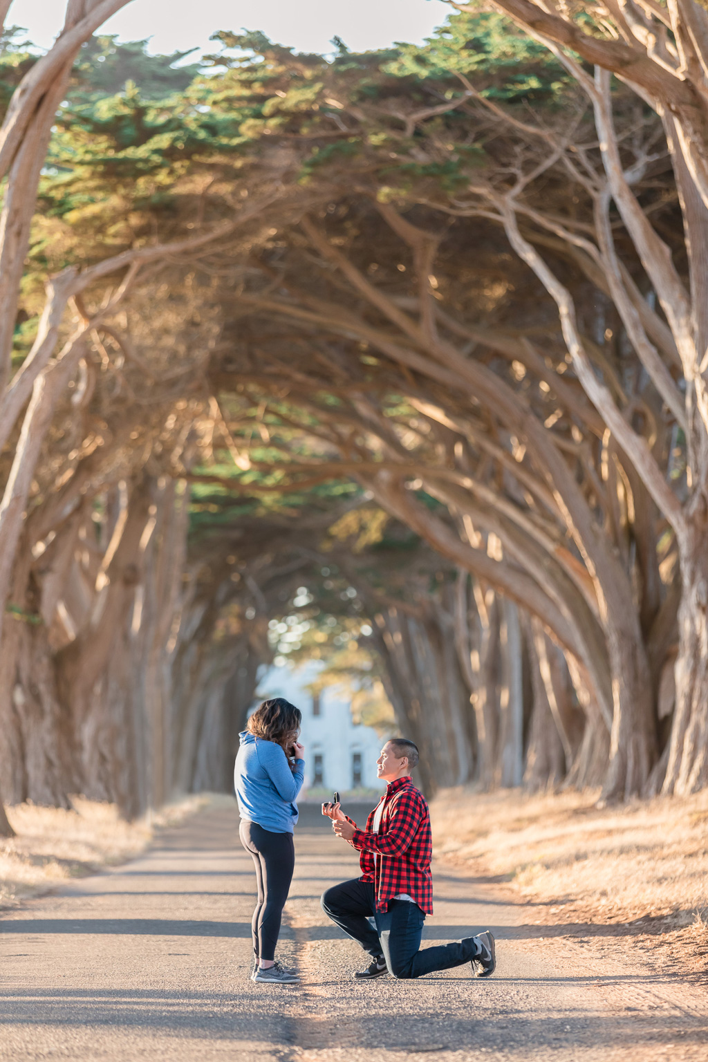 Point Reyes Cypress Tree Tunnel surprise proposal at sunset