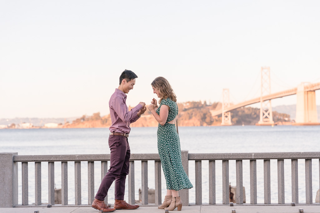 surprise engagement proposal along the Bay