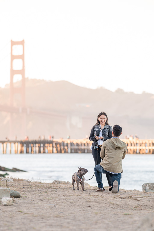 surprise proposal by the Bay