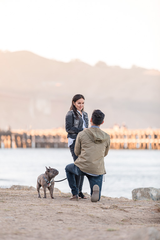 San Francisco surprise marriage proposal with a puppy