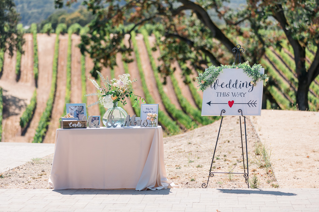 gorgeous wedding ceremony signage with a stunning vineyard backdrop