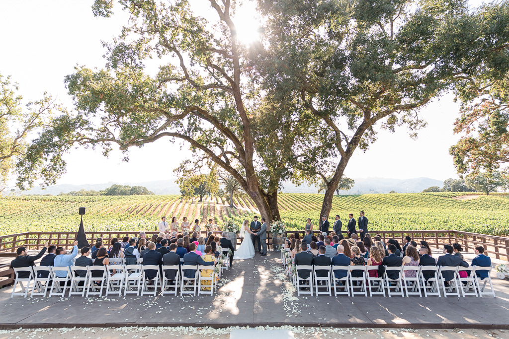 BR Cohn wedding ceremony with the vineyard backdrop