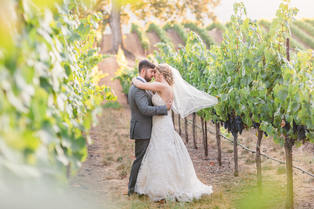 Sonoma B.R. Cohn Winery wedding photo