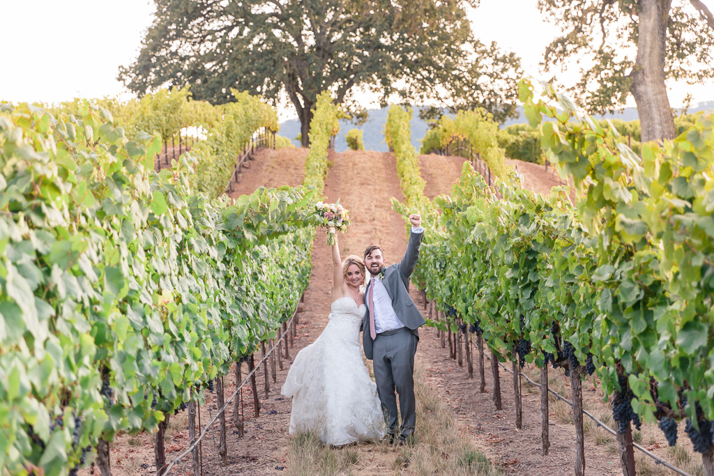 BR Cohn wedding photo in vineyards on the rolling hills