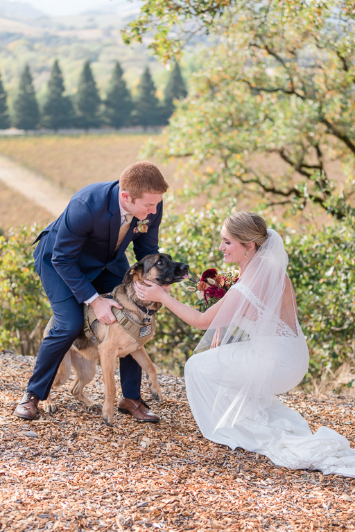 bride and groom petting their German Shepherd