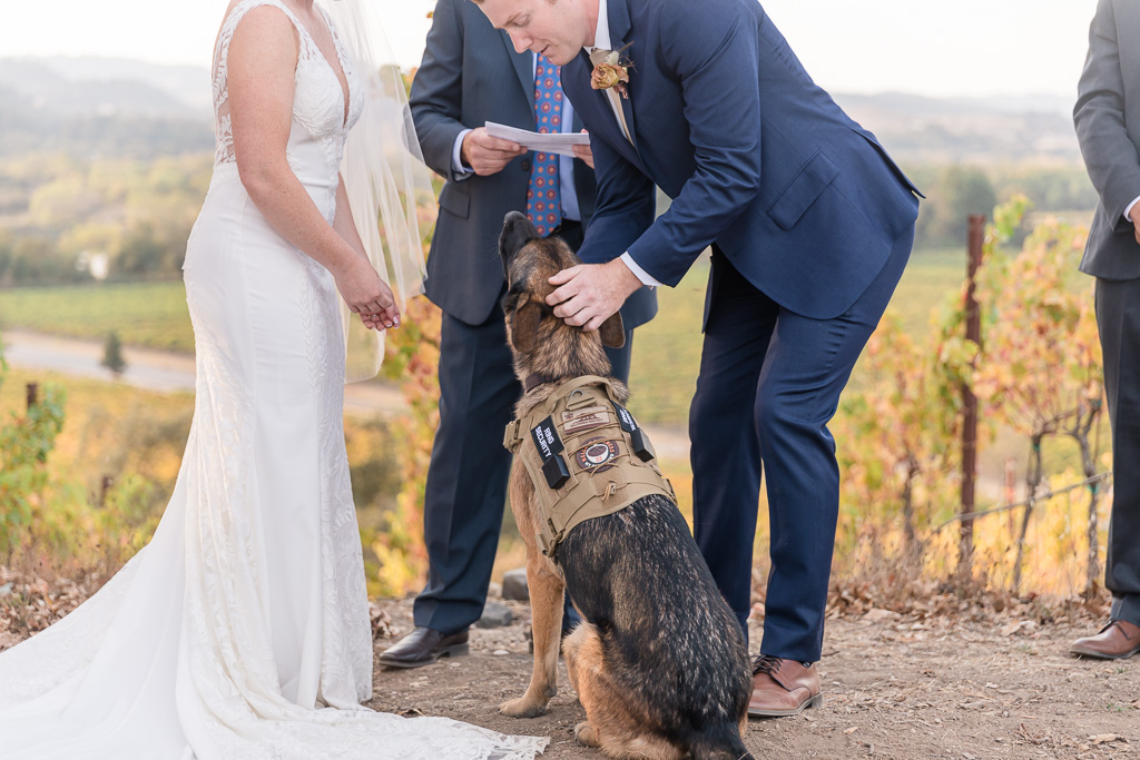 groom getting the rings out of puppy's vest