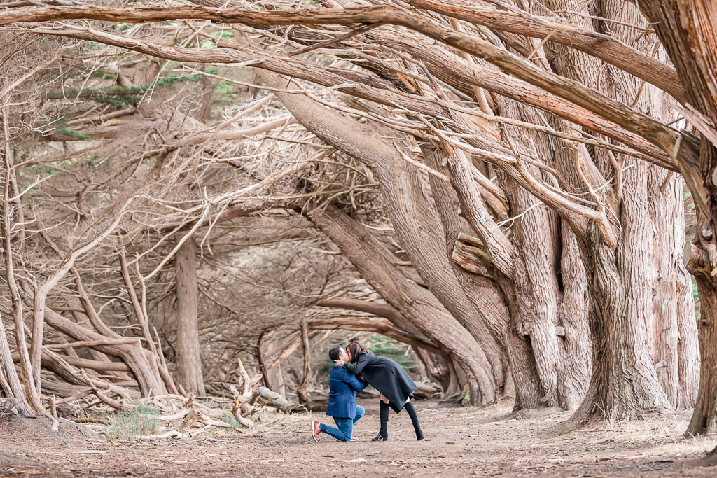 surprise proposal at the wavecrest tree tunnel