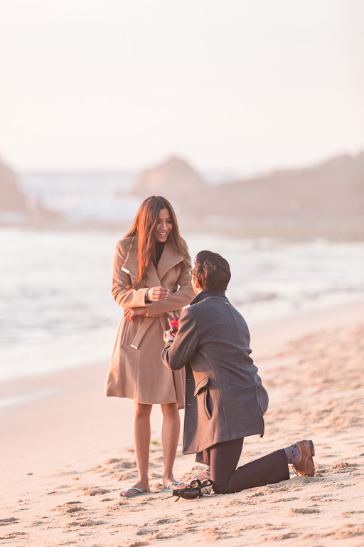 soft dreamy surprise proposal photo