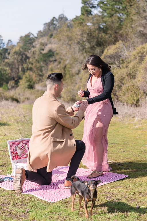 Berkeley picnic surprise proposal