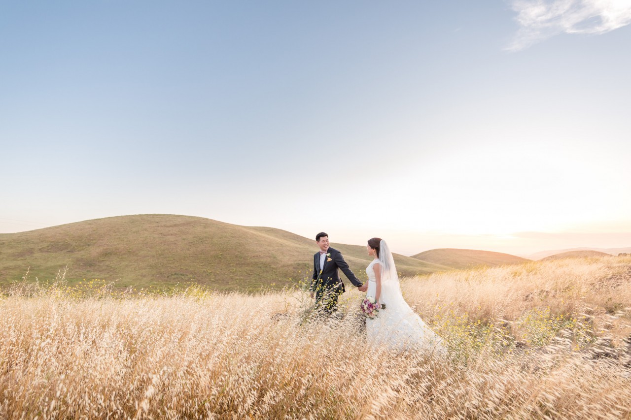 wedding couple walking through a golden yellow field of grass at sunset