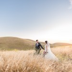 wedding couple walking through a golden yellow field of grass at sunset