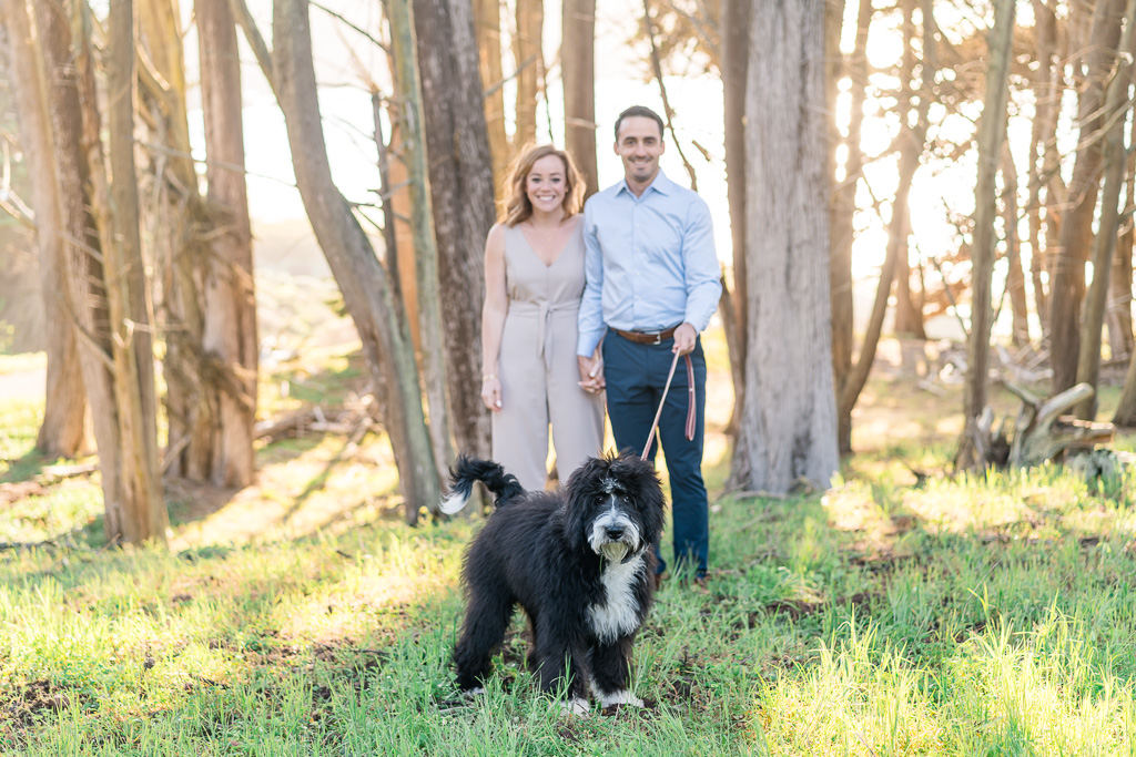 cute doggie in engagement photo