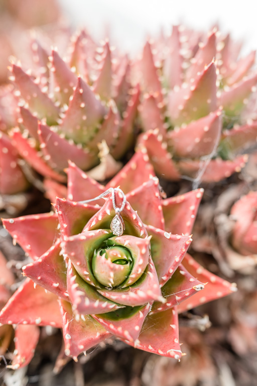 necklace on succulents