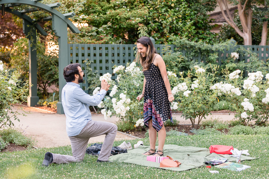 well planned and executed surprise picnic proposal in Palo Alto