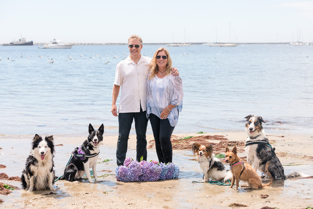 family photo of bride, groom, and their dogs
