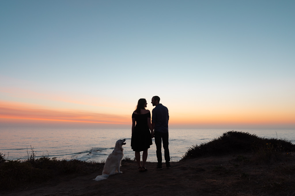 silhouette photo of couple and their dog looking off into the sunset