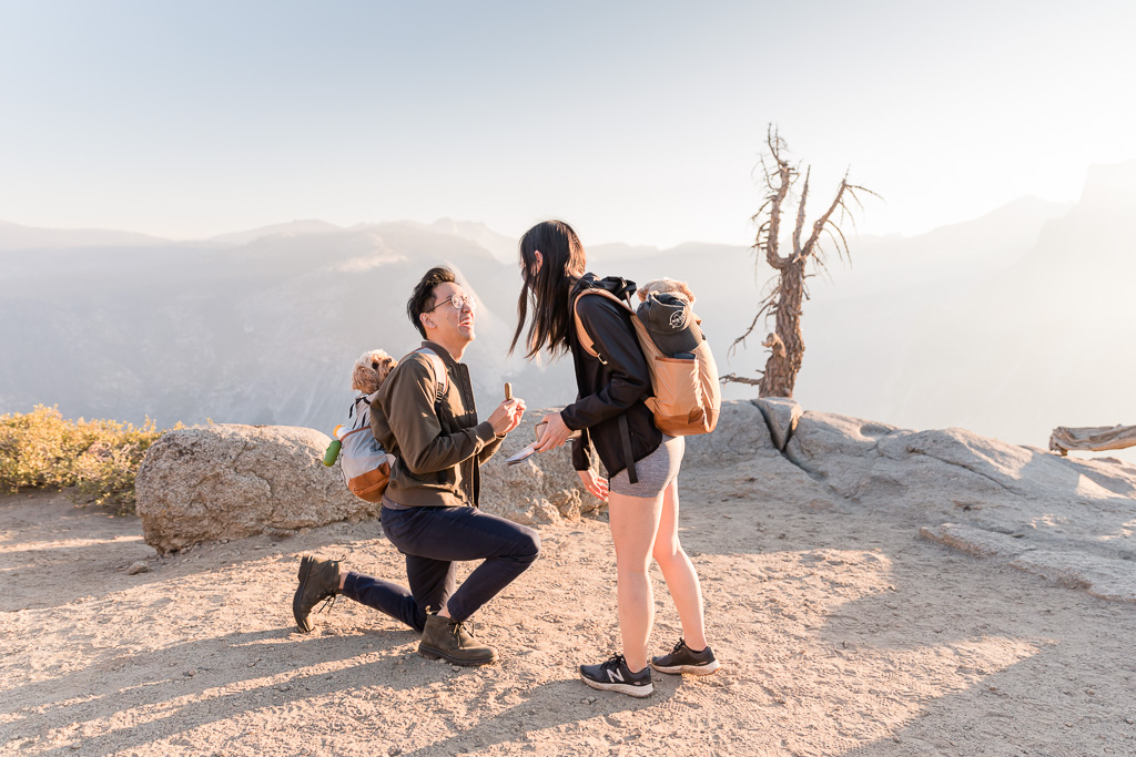 sunrise surprise proposal at Yosemite with dogs in backpacks