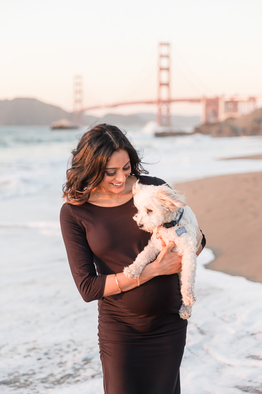 maternity photo with dog on beach