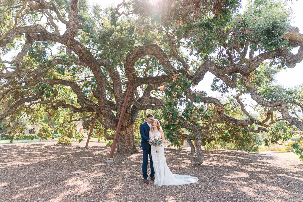 wide angle wedding day photo under Ruby Hill oak tree