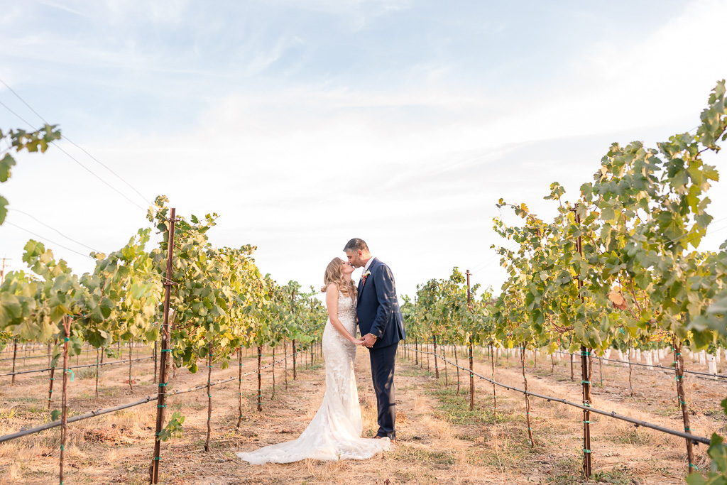 golden hour bride & groom vineyard photo with beautiful blue sky