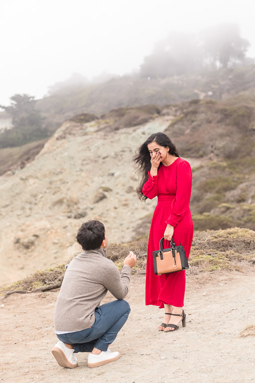 surprise proposal at a San Francisco lookout