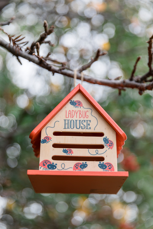 cute wooden ladybug house like a birdhouse