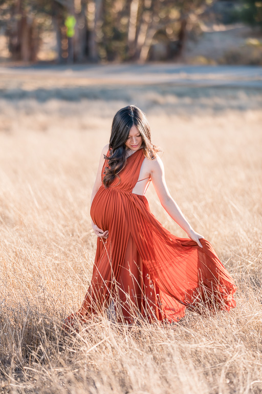 maternity photo in burgundy sheer dress