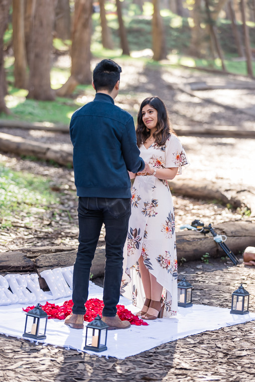 San Francisco proposal in the woods