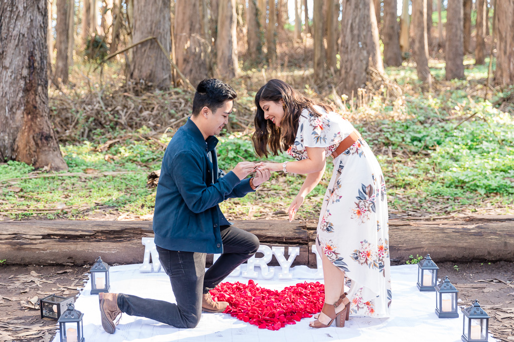 Lovers' Lane sweet surprise proposal with marry me sign