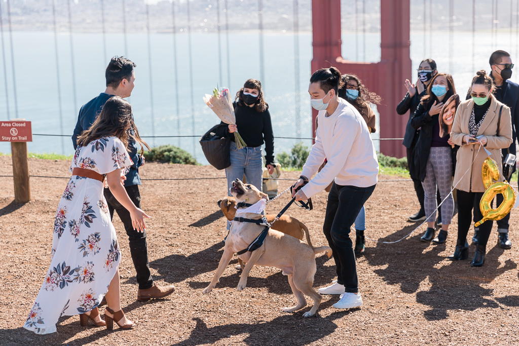 freshly engaged couple greeting their dogs and friends