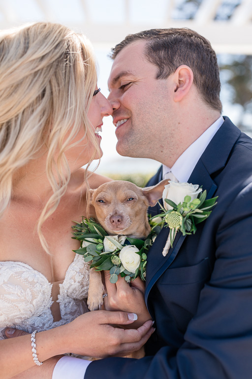 cute photo of bride and groom holding their Chihuahua