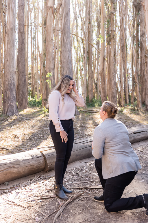surprise proposal at Andy Goldworthy’s Wood Line