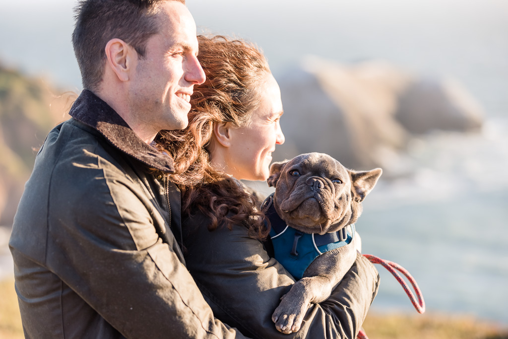 cute puppy in engagement photo