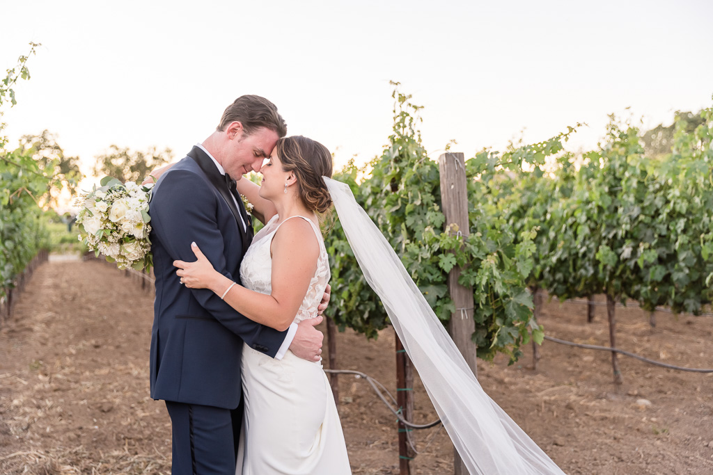 Napa vineyard sunset portrait of the bride and groom
