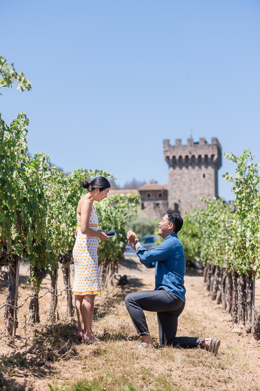 Castello di Amorosa surprise proposal